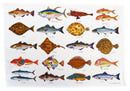 SEA FISH Tea Towel