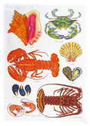 North American & Tropical Shellfish Tea Towel